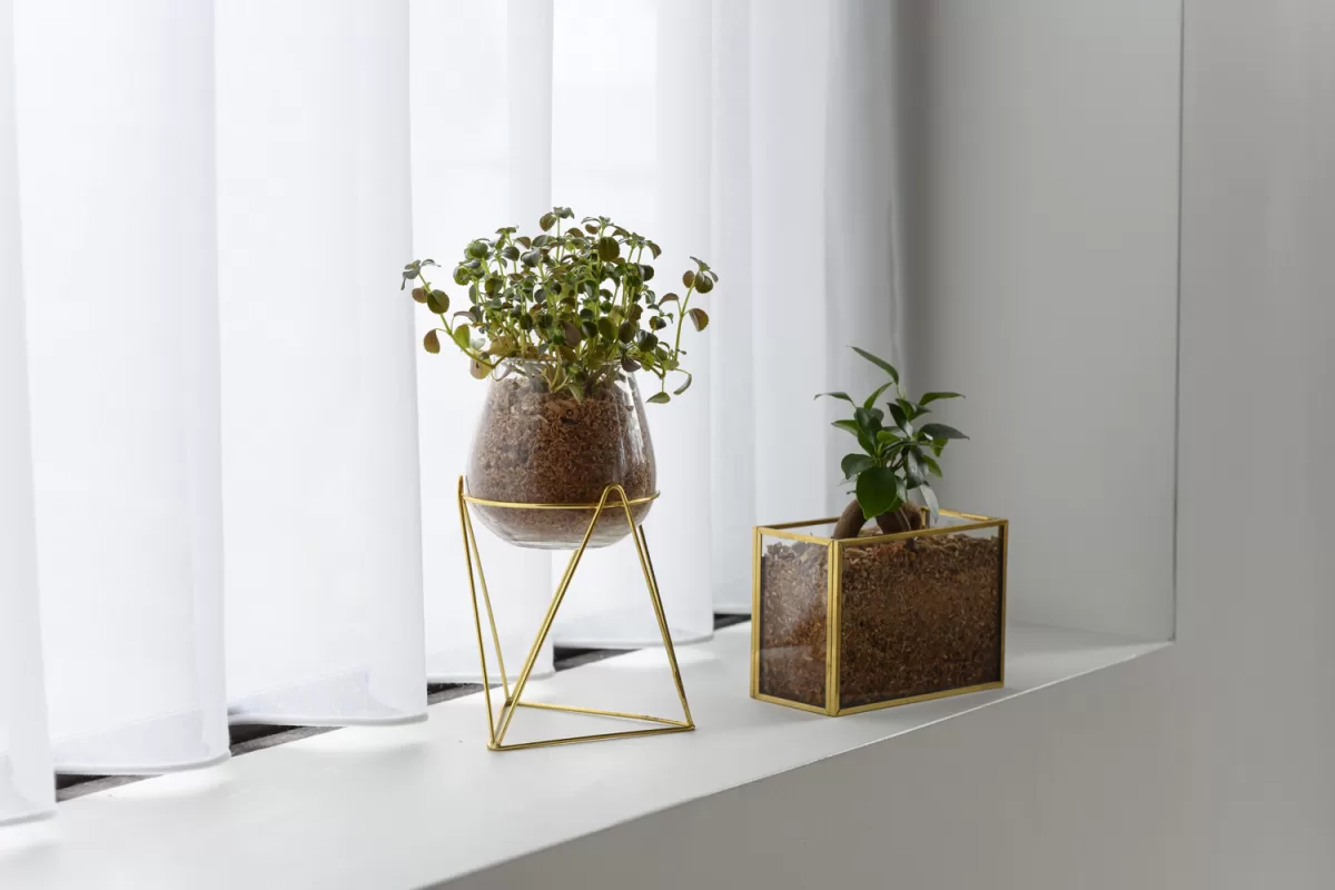 冬に気をつけること