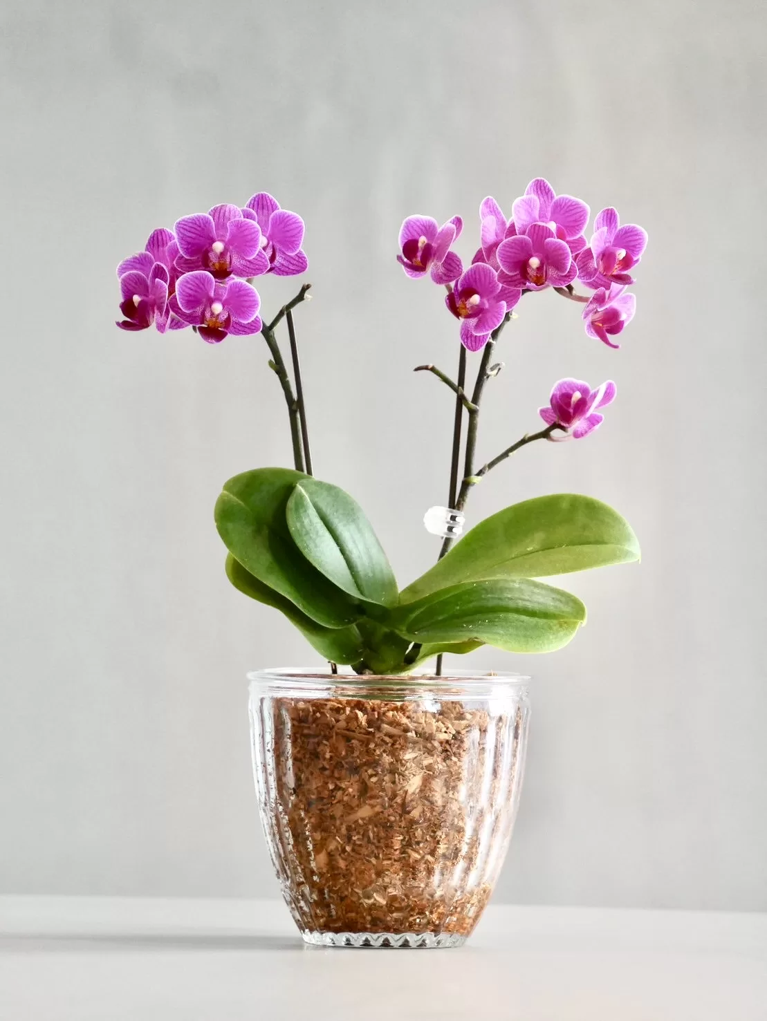 LINE_ALBUM_20250318_250318_1-1