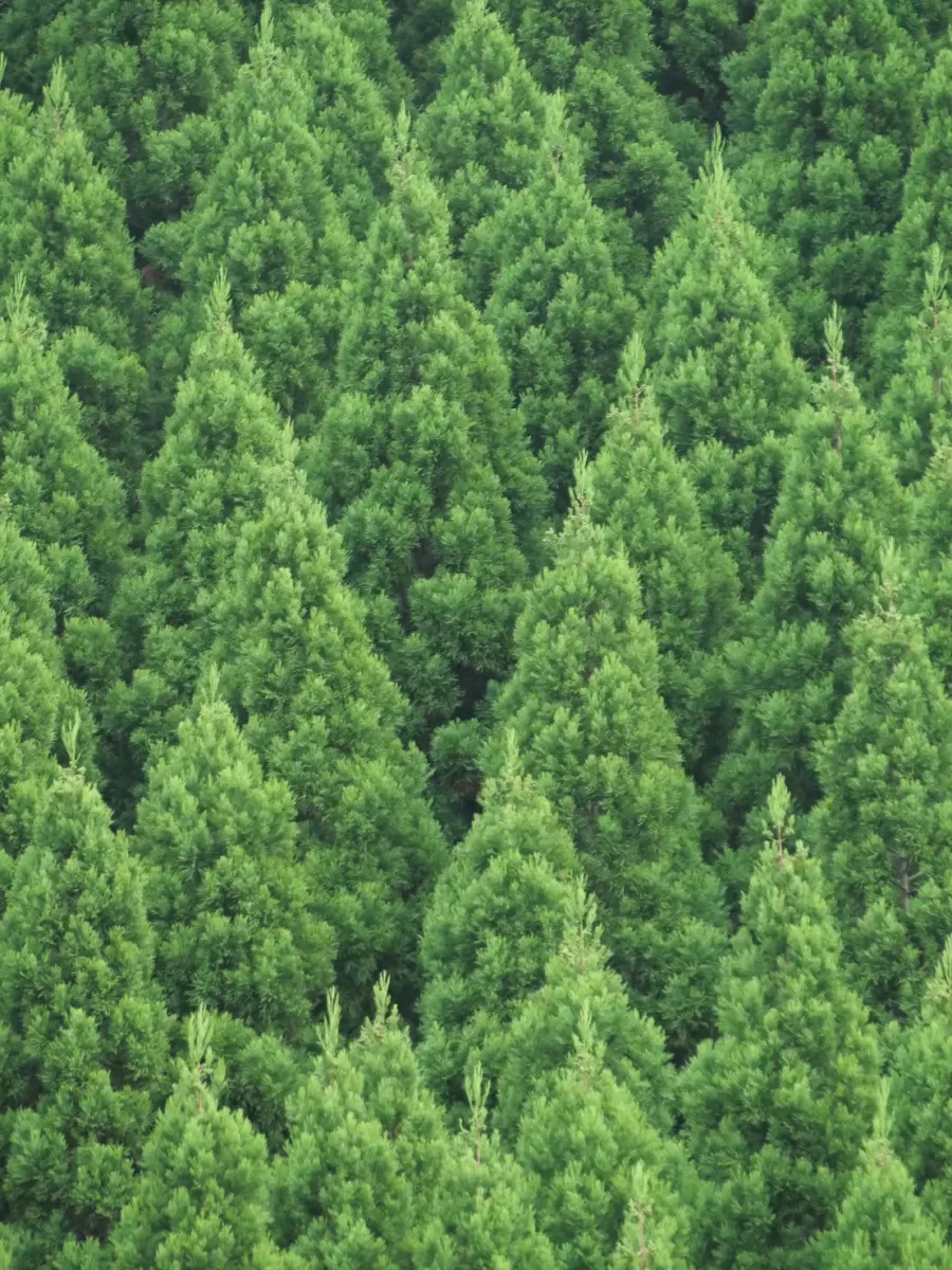 2025年ありがとうございました